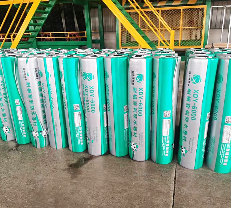 XDY-6000耐根穿刺防水卷材